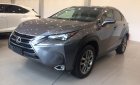 Lexus 200 2017 - Bán xe Lexus NX 200 đời 2017, màu xám (ghi), nhập khẩu