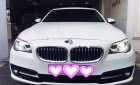 BMW 5 Series 520i 2015 - Bán BMW 5 Series 520i năm 2015, màu trắng, xe nhập