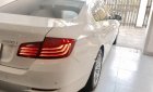 BMW 5 Series 520i 2015 - Bán BMW 5 Series 520i năm 2015, màu trắng, xe nhập