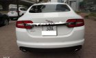 Jaguar XF 2.0 2013 - Cần bán lại xe Jaguar XF 2.0 năm sản xuất 2013, màu trắng, nhập khẩu