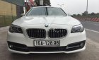 BMW 5 Series 520i 2013 - Chính chủ bán BMW 5 Series 520i SX 2013, màu trắng, nhập khẩu