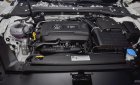 Volkswagen Passat GP 2017 - Bán xe Volkswagen Passat GP (nhiều màu), xe mới nhập khẩu, giá tốt LH: 0933 365 188