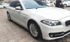 BMW 5 Series 520i 2015 - Bán ô tô BMW 5 Series 520i năm 2015, màu trắng, nhập khẩu đẹp như mới