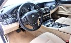 BMW 5 Series 520i 2015 - Cần bán xe BMW 5 Series 520i năm sản xuất 2015, màu trắng, nhập khẩu nguyên chiếc