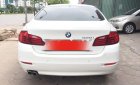 BMW 5 Series 520i 2015 - Bán ô tô BMW 5 Series 520i năm 2015, màu trắng, nhập khẩu đẹp như mới