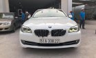 BMW 5 Series 520i 2012 - Bán xe BMW 5 Series 520i năm sản xuất 2012, màu trắng, xe nhập