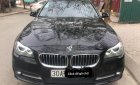 BMW 5 Series 520i 2013 - Chính chủ bán BMW 5 Series 520i năm 2013, màu đen, nhập khẩu