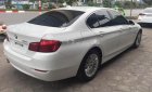 BMW 5 Series 520i 2015 - Bán BMW 5 Series 520i đời 2015, màu trắng, xe nhập