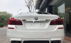 BMW 5 Series 520i 2015 - Bán BMW 5 Series 520i năm sản xuất 2015, màu trắng, nhập khẩu