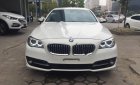 BMW 5 Series 520i 2015 - Bán BMW 5 Series 520i đời 2015, màu trắng, xe nhập