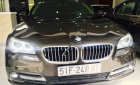 BMW 5 Series 520i 2015 - Bán BMW 5 Series 520i sản xuất 2015, màu nâu, nhập khẩu nguyên chiếc đẹp như mới