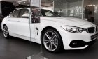 BMW 4 Series 420i Gran Coupe 2018 - Bán BMW 420i Gran Coupe, phong cách thể thao sang trọng, xe giao ngay