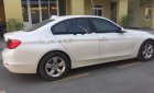 BMW 3 Series 320i 2014 - Cần bán gấp BMW 3 Series 320i đời 2014, màu trắng, nhập khẩu