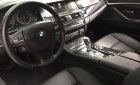 BMW 5 Series 520i 2013 - Bán BMW 520i 2013 xanh Cavansite cực chất
