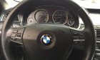 BMW 5 Series 520i 2013 - Bán BMW 520i 2013 xanh Cavansite cực chất