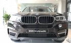 BMW X5 xDrive35i 2018 - Bán xe BMW X5 xDrive35i thể thao, xe 7 chỗ, có xe giao ngay