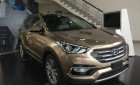 Hyundai Santa Fe 2018 - Cần bán Hyundai Santa Fe đời 2018, màu nâu