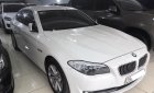 BMW 5 Series 523i 2010 - Cần bán lại xe BMW 5 Series 523i 2010, màu trắng, nhập khẩu nguyên chiếc