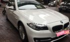 BMW 5 Series 520i 2015 - Bán xe BMW 5 Series 520i đời 2015, màu trắng, xe nhập