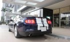 Ford Mustang 2011 - Bán xe Ford Mustang đời 2011, xe nhập