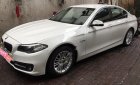 BMW 5 Series 520i 2015 - Bán xe BMW 5 Series 520i đời 2015, màu trắng, xe nhập