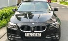 BMW 5 Series 520i 2016 - Bán BMW 5 Series 520i đời 2016, màu đen, xe nhập