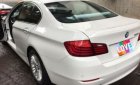 BMW 5 Series 520i 2015 - Bán BMW 5 Series 520i đời 2015, màu trắng