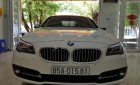 BMW 5 Series 528i 2015 - Bán BMW 5 Series 528i đời 2015, màu trắng, xe nhập