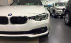 BMW 3 Series 320i 2017 - Bán xe BMW 3 Series 320i 2017, màu trắng, nhập khẩu