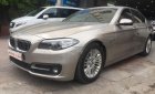 BMW 5 Series 520i 2014 - Bán BMW 5 Series 520i sản xuất năm 2014, màu vàng, nhập khẩu