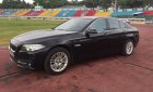 BMW 5 Series 520i 2014 - Bán BMW 5 Series 520i năm 2014, xe nhập khẩu Đức