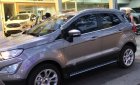 Ford EcoSport Titanium 1.5L 2018 - Bán xe Ford EcoSport Titanium 1.5L sản xuất 2018, màu bạc