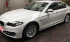 BMW 5 Series 520i 2015 - Bán BMW 5 Series 520i đời 2015, màu trắng