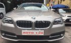 BMW 5 Series 520i 2014 - Bán BMW 5 Series 520i sản xuất năm 2014, màu vàng, nhập khẩu