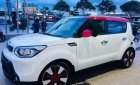 Kia Soul  2.0 2014 - Bán ô tô Kia Soul 2.0 đời 2014, hai màu, nhập khẩu ít sử dụng