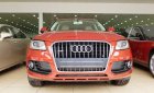 Audi Quattro Mới  Q5 2.0T  Premium 2015 - Xe Mới Audi Q5 2.0T Quattro Premium 2015