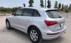 Audi Q5 2010 - Bán xe Audi Q5 sản xuất 2010, màu bạc, xe nhập