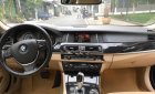 BMW 5 Series 520i 2016 - Bán xe BMW 5 Series 520i đời 2016, màu đen, nhập khẩu