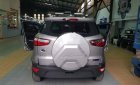 Ford EcoSport Ambiente 1.5L MT 2018 - Bán xe Ford EcoSport Ambiente MT 2018, màu bạc