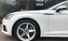 Mercedes-Benz C class C250 AMG 2015 - Bán Mercedes C250 AMG 2015 màu trắng, nội thất đỏ 27000km