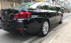 BMW 5 Series 520i 2016 - Bán xe BMW 5 Series 520i đời 2016, màu đen, nhập khẩu