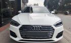 Audi A5 Cũ   Sportback 2017 - Xe Cũ Audi A5 Sportback 2017