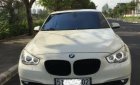 BMW 5 Series 535i GT 2010 - Bán BMW 5 Series 535i GT 2010, màu trắng, nhập khẩu