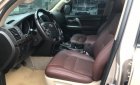 Toyota Land Cruiser 5.7 V8 2010 - Bán Toyota Land Cruiser 5.7 năm sản xuất 2010, màu vàng, nhập khẩu