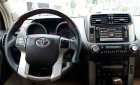 Toyota Prado 2010 - Bán gấp Toyota Prado sản xuất 2010, nhập khẩu