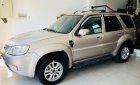 Ford Escape XLS 2.3L 4x2 AT 2011 - Bán xe Ford Escape năm 2011, màu vàng như mới, giá tốt