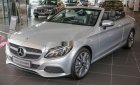 Mercedes-Benz C class C200 Cabriolet  2018 - Bán Mercedes C200 Cabriolet năm 2018, màu bạc, nhập khẩu