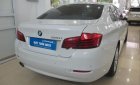 BMW 5 Series  520i 2013 - Bán BMW 5 Series 520i đời 2013, màu trắng, nhập khẩu  