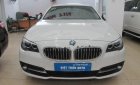 BMW 5 Series  520i 2013 - Bán BMW 5 Series 520i đời 2013, màu trắng, nhập khẩu  