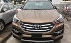 Hyundai Santa Fe 2.2 2018 - Cần bán xe Hyundai Santa Fe 2.2 đời 2018, màu nâu